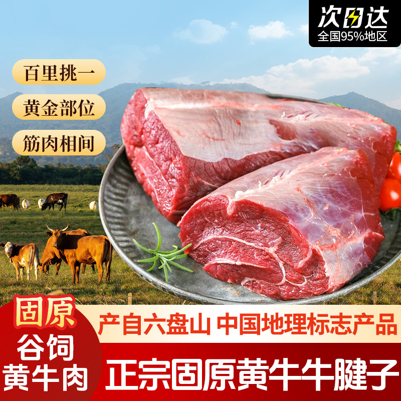 六盘山宁夏固原黄牛肉新鲜原切牛腱子肉金钱腱芯卤牛肉生鲜食材