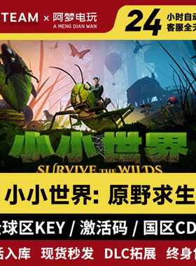 STEAM正版 小小世界: 原野求生下载码激活入库  Smalland cdk
