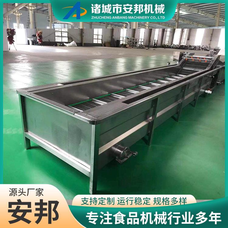 新型辣椒清洗设备新一代蓝莓清洗机自动化杨梅清洗加工设备