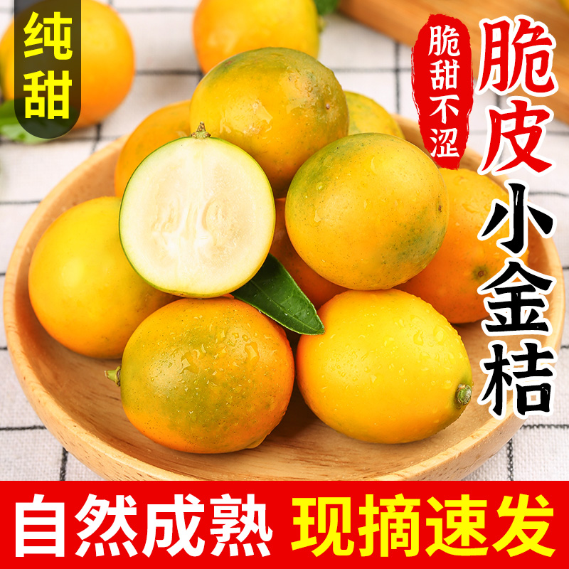 广西脆皮金桔包邮应当季现摘新鲜水果金柑农家整箱5斤非融安