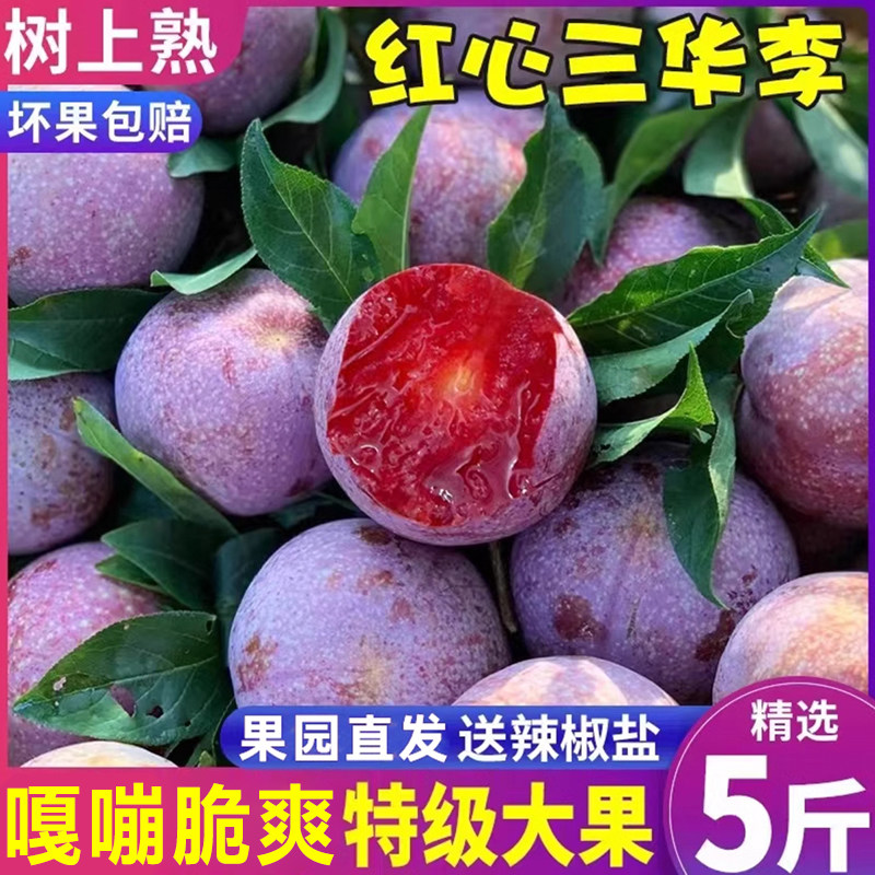 正宗现货三华李红心李子新鲜现货现摘当季甜酸脆时令水果整箱包邮