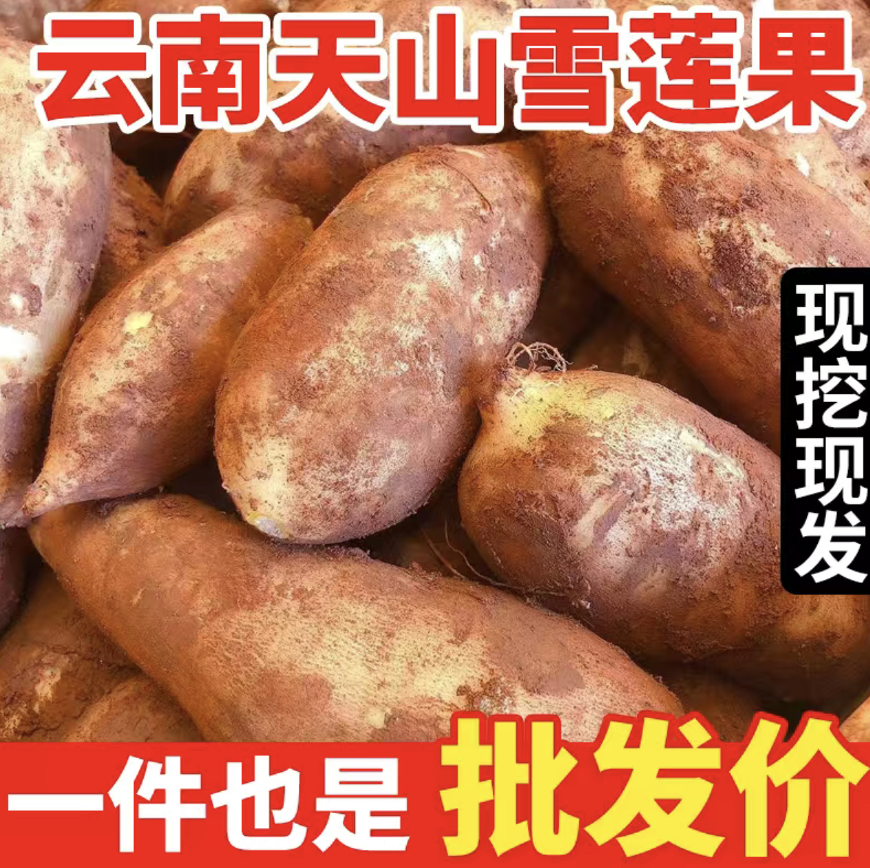 天山雪莲果新鲜水果脆甜爽口应当季现挖水果云南红心雪莲果水果10