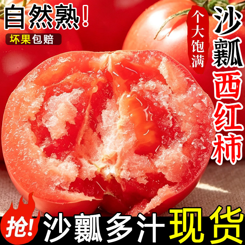 正宗攀枝花自然熟沙瓤西红柿农家非普罗旺斯现摘新鲜水果蔬菜番茄
