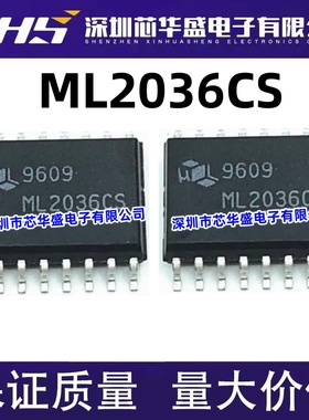 ML2036CS 接收器 信号发生器 SOP-16封装 质量保证 欢迎咨询