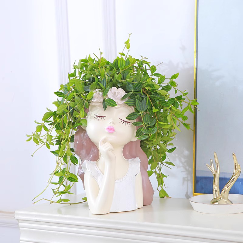 速发季四吊绿翡翠吊兰植物盆栽室内桌面垂吊花卉好养活金边长兰