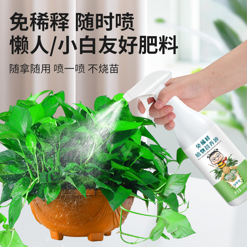 现货绿萝肥料专h用肥免稀释营养液植物盆栽家用吊兰绿罗土水培养