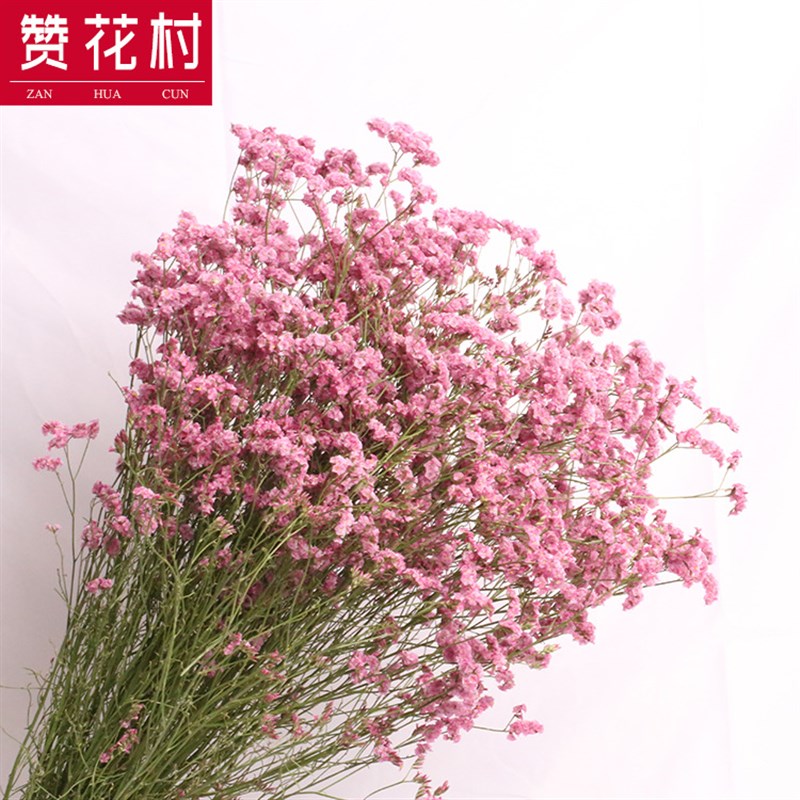 速发【赞花村】水晶草干花云南干花花束 文艺装饰节日礼物风干