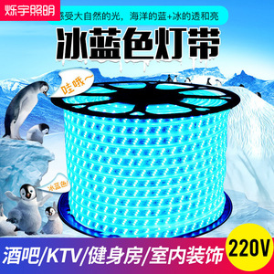 烁宇冰蓝色冷蓝色灯条LED天蓝色220V浅蓝色灯条220V冰蓝光灯带