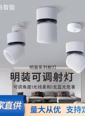 LED射灯明装万向可调射灯白色磁吸轨道配套吊线射灯家装导轨灯
