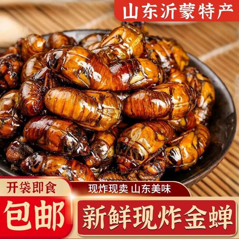 山东油炸金蝉即食麻辣五香下酒