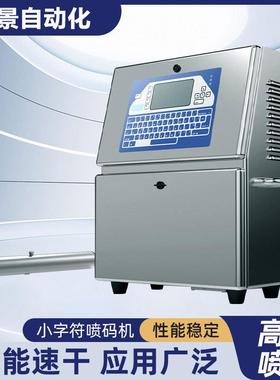 LF-400PLIS小字符喷码机食品袋瓶体纸盒生产日期批号全自动流水线