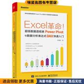 超级数据透视表Power 收藏品 Pivot与数据分析表达式 Excel革命 DAX快速入门 正版 林书明电子工业出版 社9787121390791