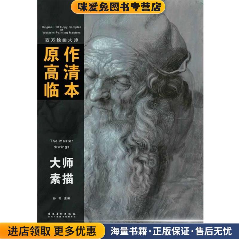 大师素描(正版收藏品)孙萌安徽美术出版社9787539845890