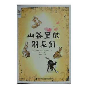 朋友们黄善美接力出版 山谷里 收藏品 社9787544835060 正版