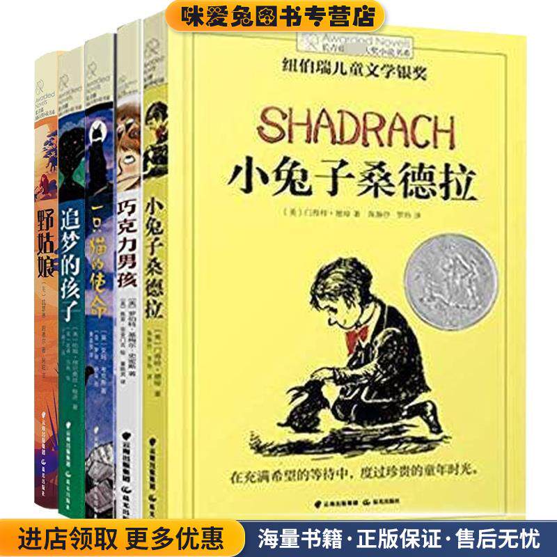 长青藤国际大奖小说：巧克力男孩(正版收藏品)[美]焦亚菲亚门吉 绘晨光出版社9787541498800