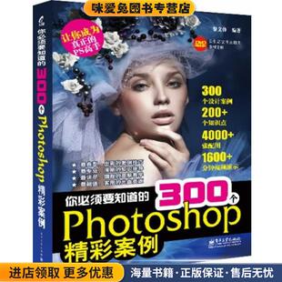 你必须知道的300个photoshp精彩案例(正版收藏品)黎文锋电子工业出版社9787121207129