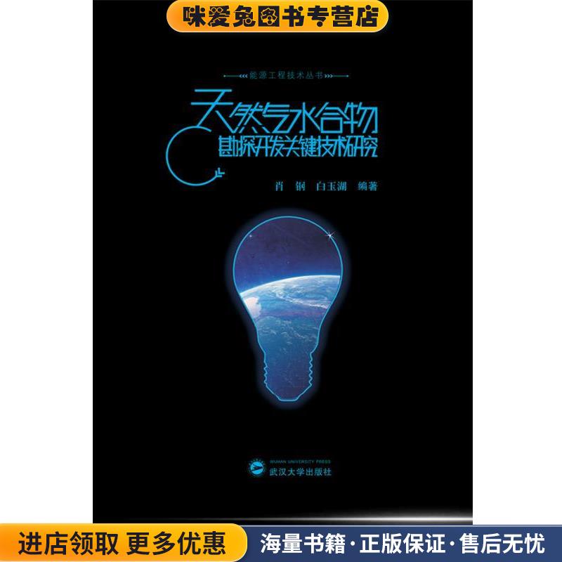 天然气水合物勘探开发关键技术研究(正版收藏品)肖钢,白玉湖　编著武汉大学出版社9787307162242