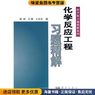 化学反应工程习题精解(正版收藏品)廖晖 辛峰 王富民 编科学出版社9787030109279