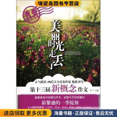 美丽时光走丢了:第13届新概念作文(正版收藏品)白丁 编四川出版集团，四川文艺出版社9787541131509