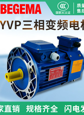 宝戈玛电机 马达 BYVP 750W 4P 380V 立式 三相 变频现货