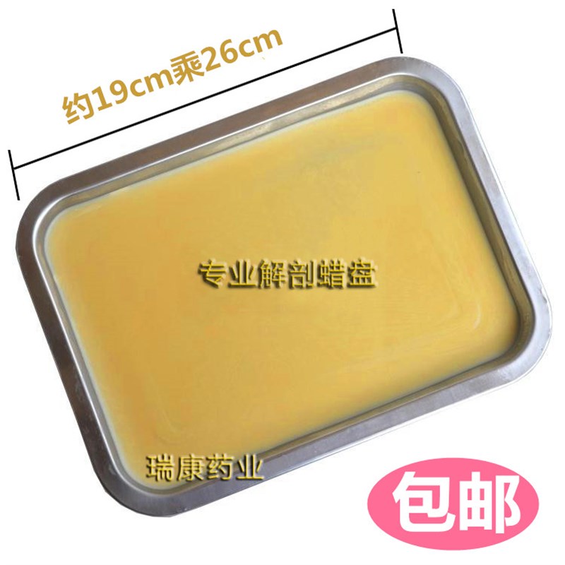 现货速发解剖蜡盘 解剖盘 初中高中生物实验器材/教学仪器/生物实