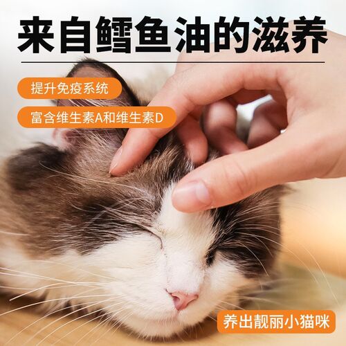 速发乳鸽生骨肉成猫幼猫营养增肥发腮长肉蓝猫布偶通用全价