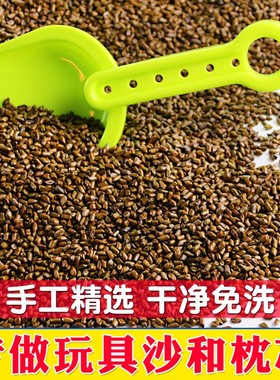 速发儿童决明子沙滩玩具0宝宝玩泥沙池10枕量颗粒2沙斤散装家用批