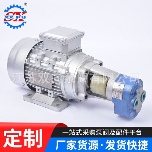 速发立卧式齿轮油泵-B16JZ-B20/25-B2JZ齿轮泵组图
