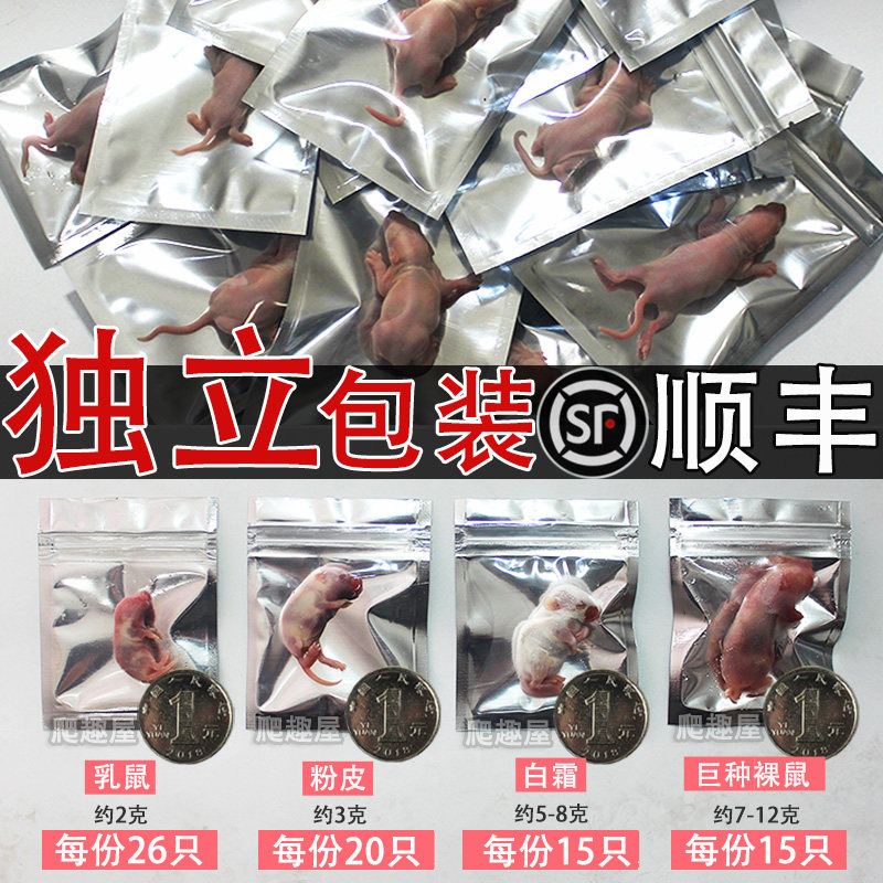 速发干冻乳鼠粮爬宠冷料饲冻小白鼠红皮粉皮白霜冻冰包邮独立包装