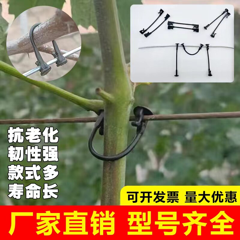 速发葡萄猕猴桃绑枝卡枝条卡子绑枝器挂钩塑料绑枝卡扣 挂钩绑蔓