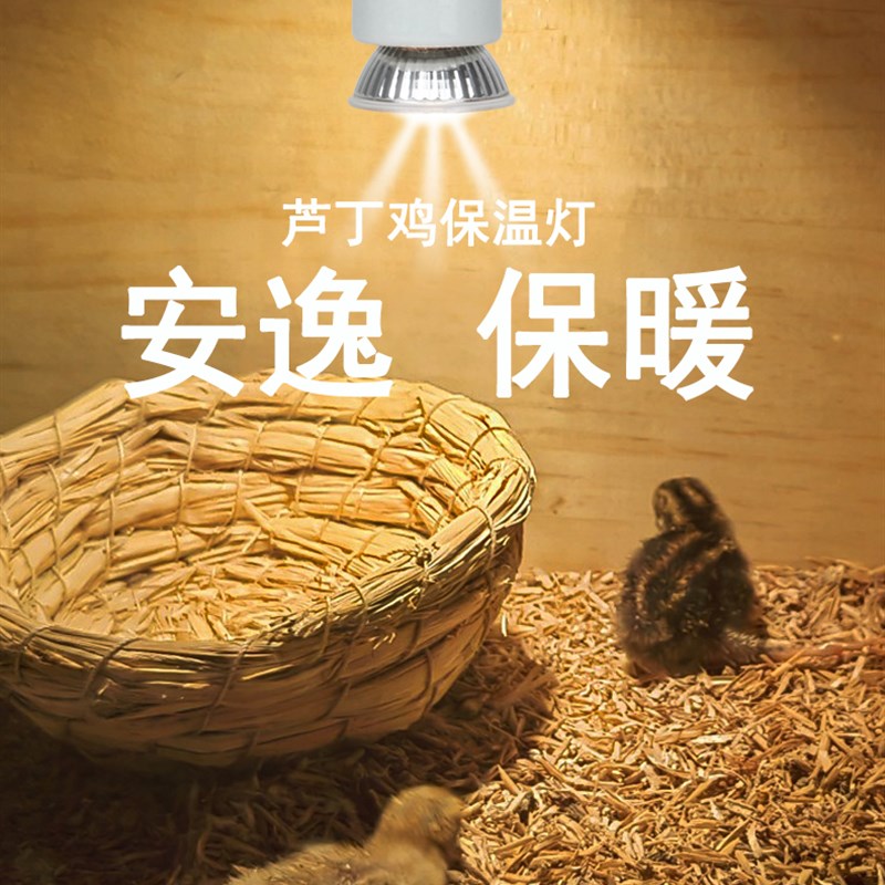 速发芦丁鸡保温灯自动温控器恒温灯取暖灯养殖箱育雏灯小鸡加温加
