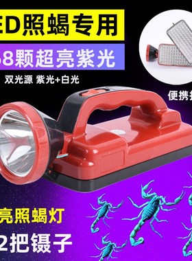 速发照蝎子专灯用强光超亮紫光蝎子灯手电头戴式蝎子灯可续电长充