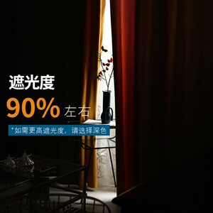 速发貂绒绒绒新款加布高档轻奢窗帘丝布隔音防晒客厅卧室厚艺窗帘