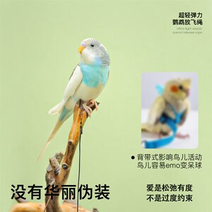 速发鹦鹉放飞绳超轻脚环脚链不勒外出训练虎皮牡丹玄凤溜鸟神器
