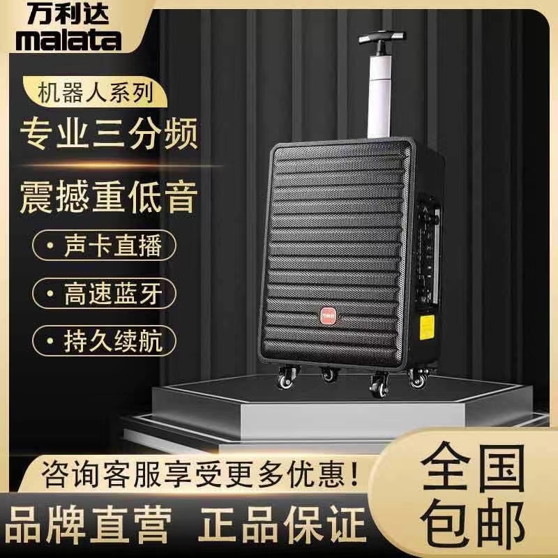 万利达小飞天二代大功率三分频