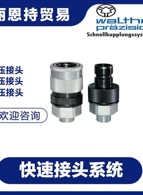 LP-006-0-WR017-11-2 快速接头 walther 瓦尔特
