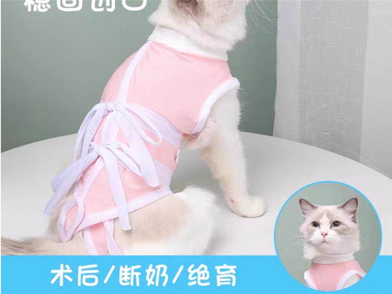 猫咪手术服宠物绝育服母猫断奶服防舔毛术后衣服宠物术后用品郑州