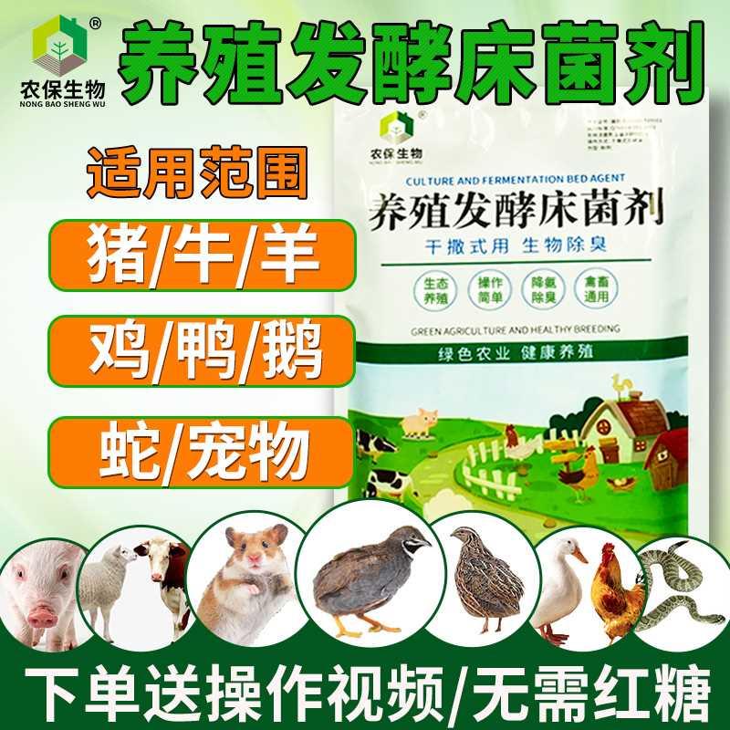 直撒式发酵床益生菌养鸡养猪养鸭养蛇养牛养殖发酵床垫料菌剂怎么看?