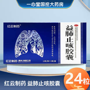 红云制药 益肺止咳胶囊 0.3g*24粒/盒