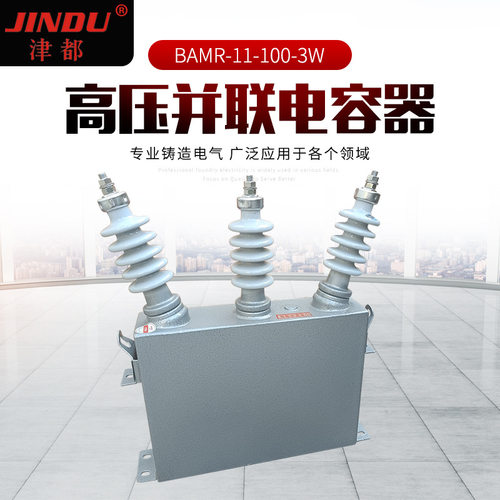 津都 高压并联电容器BAMR-11-100-3W 户外电容器 补偿电容器
