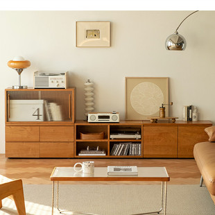 北欧实木电视柜 家用客厅落地收纳储物柜卧室民宿简约书柜视听柜