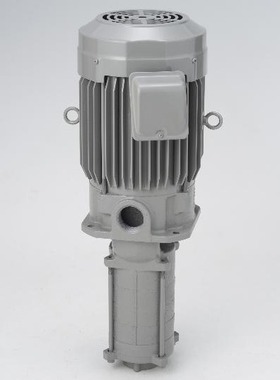 泰拉尔TERAL水泵NQD-e3004G(200V級)