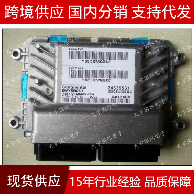 ECU 5WY5B01B 24529607 五菱之光/宏光 汽车发动机电脑板