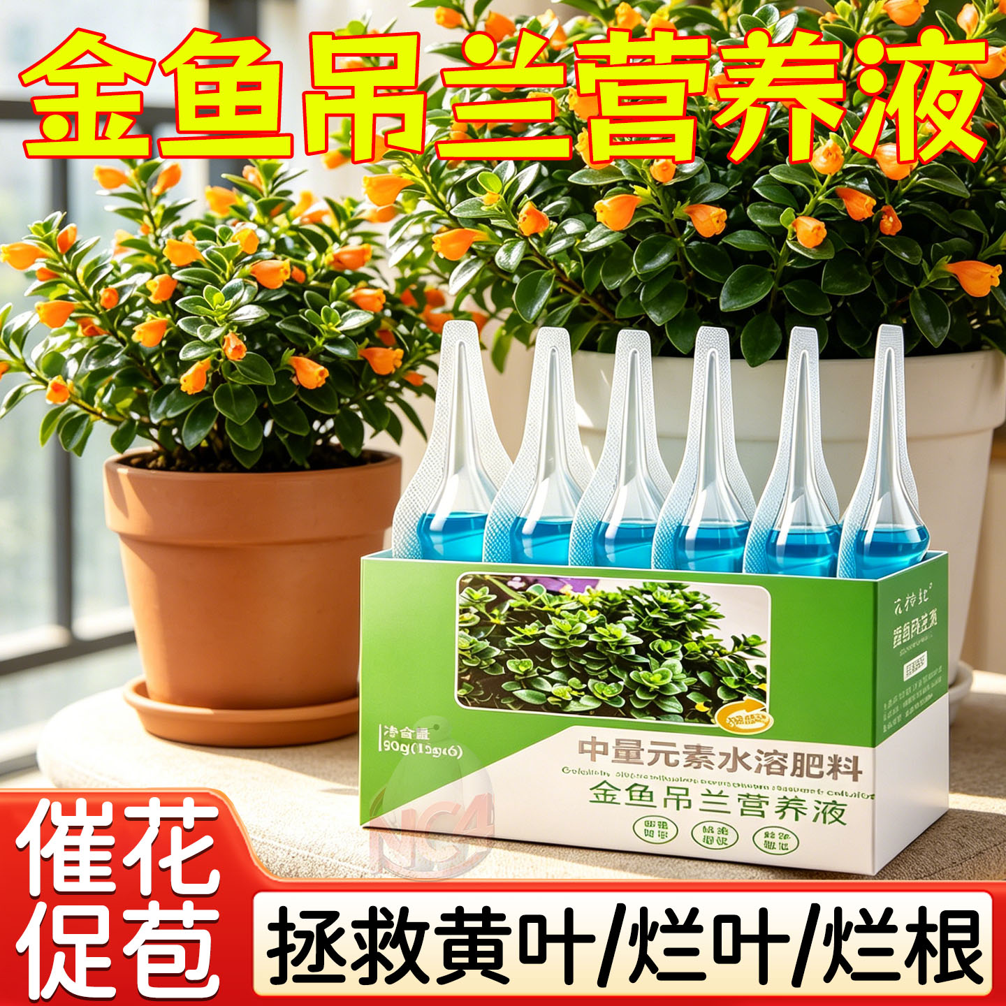 金边吊兰专用肥料缓释肥油画金鱼吊兰花肥营养液有机控释复合肥
