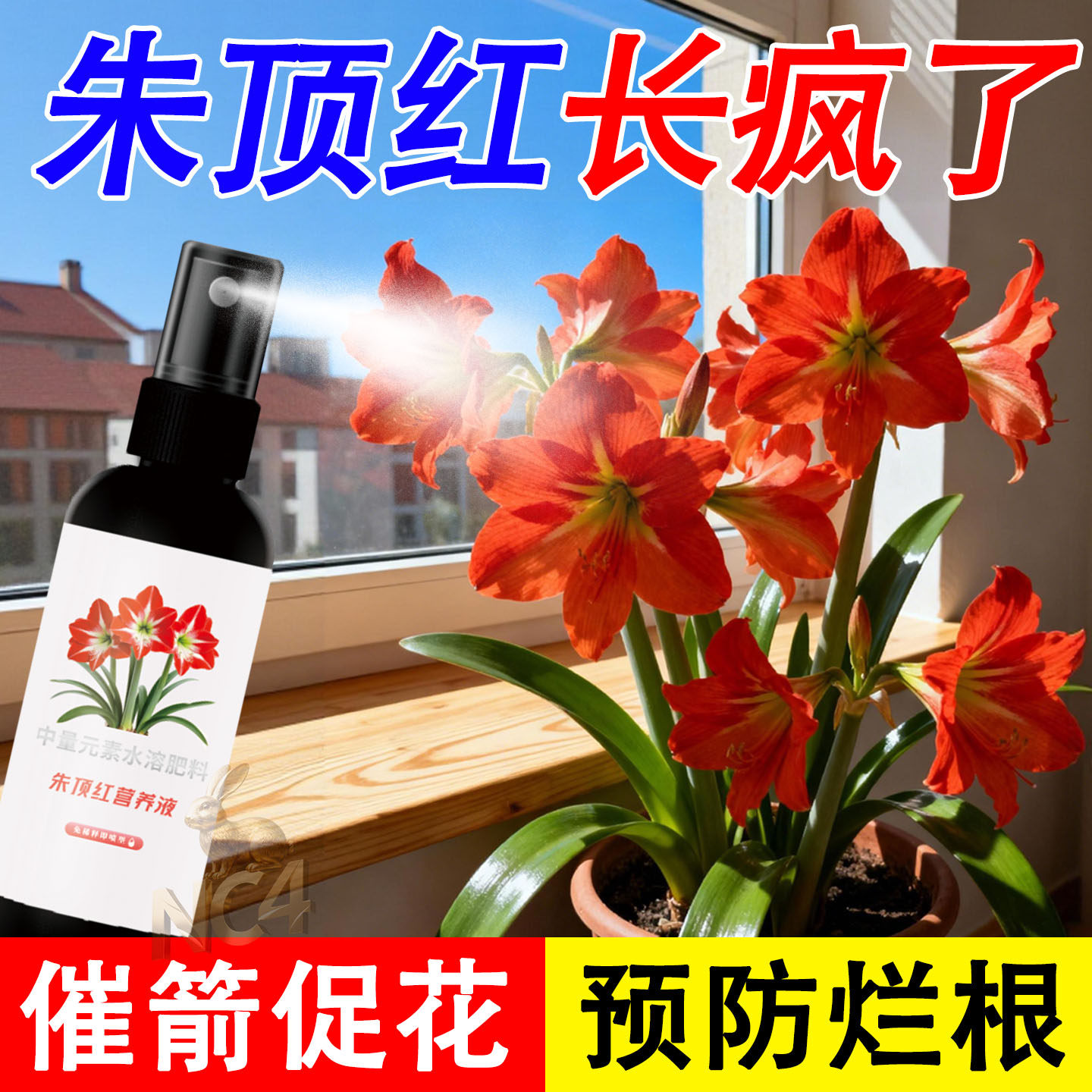 【爆箭】朱顶红营养液催花箭促开花防黄叶一喷爆箭免稀释液体肥