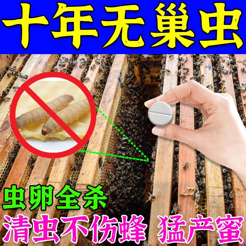 巢虫清木片中蜂专用蜜蜂净巢虫药蜜蜂工具白头蛹棉虫条正品蜂药