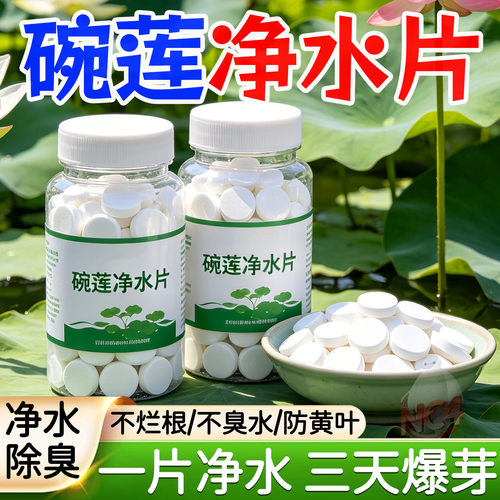 植物保鲜碗莲水培植物专用净水片营养净水保鲜剂富贵土壤渗透剂