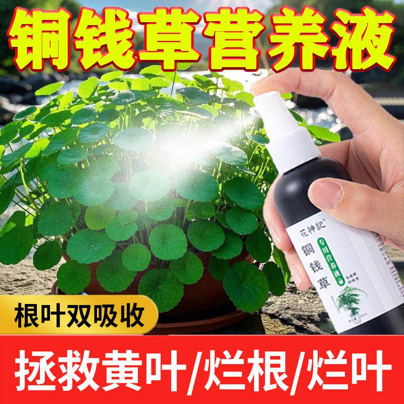 【植物疯长】铜钱草营养液免稀释专用肥预防黄叶干枯促发芽长绿叶