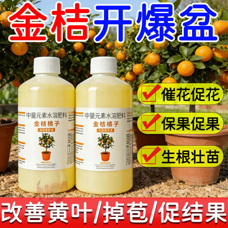 金桔树专用盆栽肥料营养液金橘树苗绿植室内通用型改善黄叶不结果