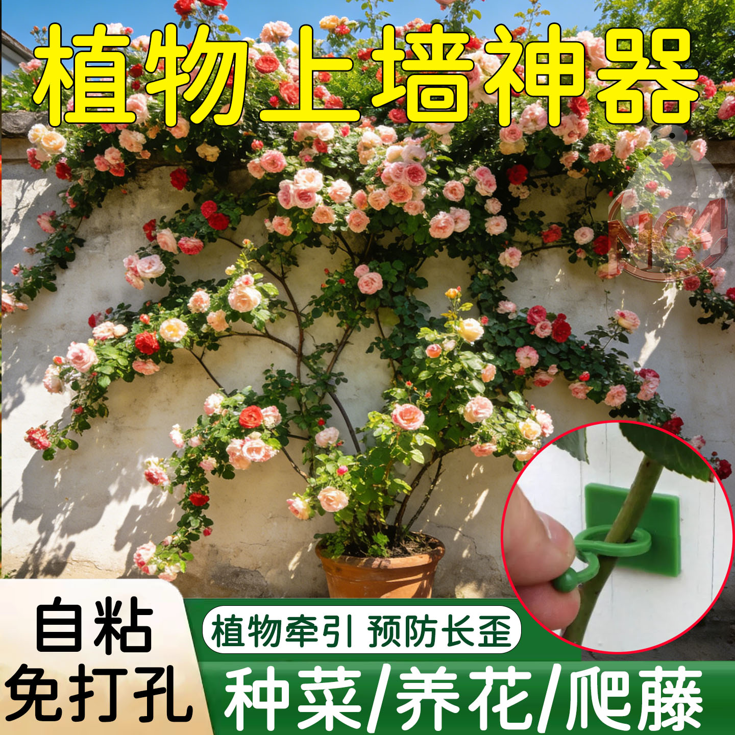 绿萝爬上神器爬墙上绿箩固定器月季绿植攀爬夹子墙上无痕挂钩爬藤